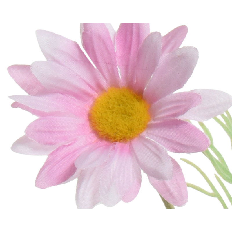 Daisy Arrangement, Pink