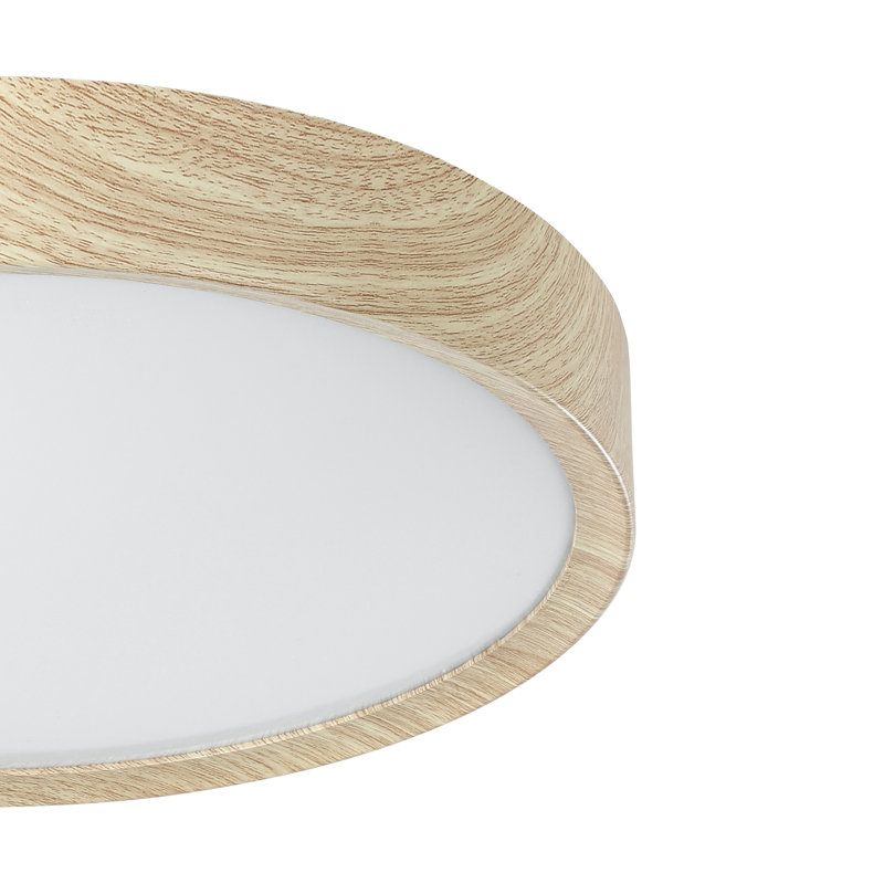 Maio Plastic LED Flush Mount