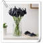 Arrangement Lillies-623490144-623490075