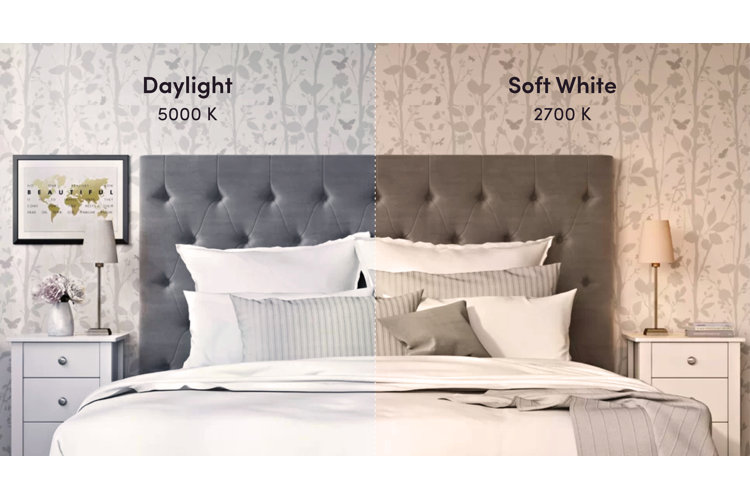 Light Bulb Buying Guide