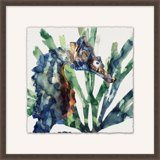 Reef Life 2 Print