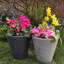 Contemporary Smooth Handmade Pot Planter-35994079-35994082
