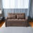 55.2"Velvet Pull Out Sofa Bed, Adjustable Backrest With Three USB Ports, Two Side Pockets