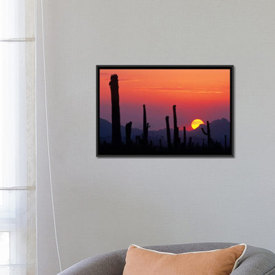 " Saguaro Cacti At Sunset II, Saguaro National Park, Sonoran Desert, Arizona, USA " Color Photography Painting