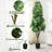 63"/5.2Ft Artificial Schefflera Umbrella Tree In Pot