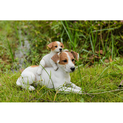 Mère et bébé Jack Russell