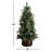 White 4' Pre-Lit Pine Christmas Tree