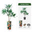 66 plantes-97701523