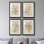 Parchment Coral I - ensemble de 4 reproductions de cadres photo-2014908186-2014908187