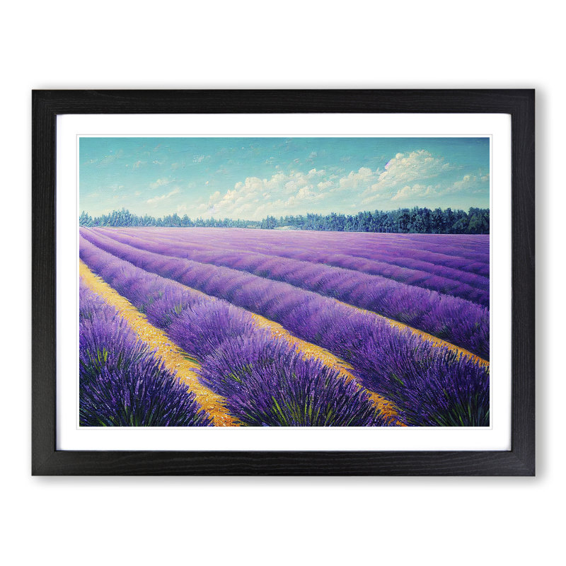 Alluring Lavender Flower Field - Single Picture Frame Print, Black, 25cm H x 34cm W x 2cm D