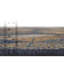 Tapis d'extérieur Jacole Offee-28229091