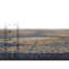 Tapis d'extérieur Jacole Offee-28229117
