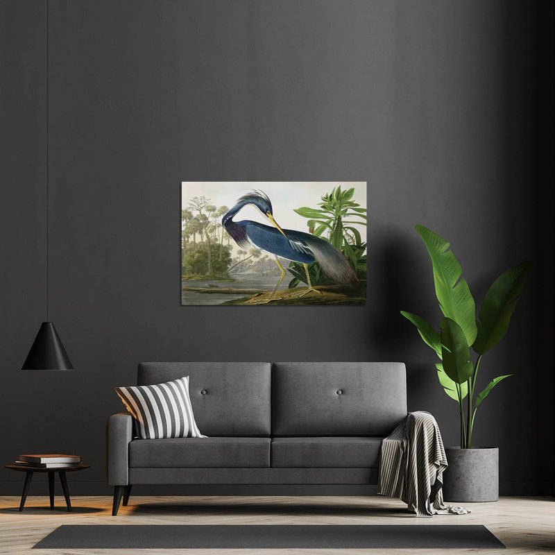 «Louisiana Heron» par John James Audubon - impression non encadrée, H 16 po x l 24 po x P 0,25 po