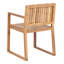 Adamina Patio Dining Armchair with Cushion-1447711485