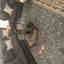 Customer photo 3 of 3