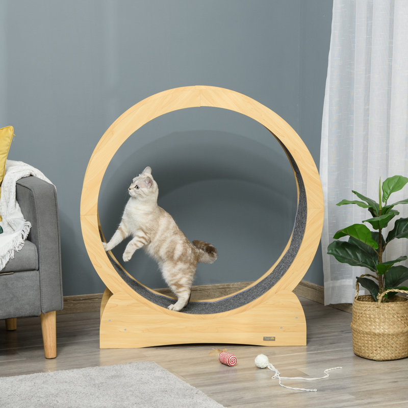 Tapis roulant à roulettes Pawhut