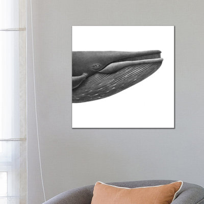 «Blue Whale Study Square» par Terry Fan - reproduction d'art