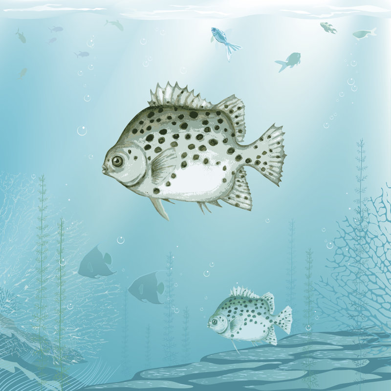 Fish by ElenaMichaylova - Wrapped Canvas Print, 30cm H x 30cm W x 3.8cm D