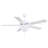 Ceiling Fan with LED Lights-27773218