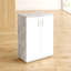 Frieda 2 -Door Storage Cabinet-30735455