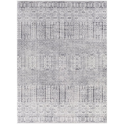 Aavyn Southwestern Indoor Rug
