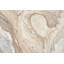 Papier peint abstrait beige marbré-93707582