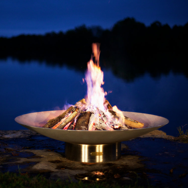 Fire Pit Art Bella Stainless Steel Propane/Natural Gas Fire Pit - Wayfair  Canada