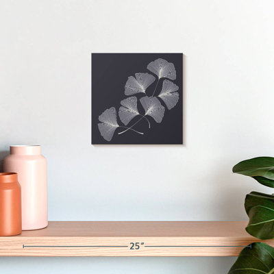 Feuilles Harnek Ginkgo Biloba