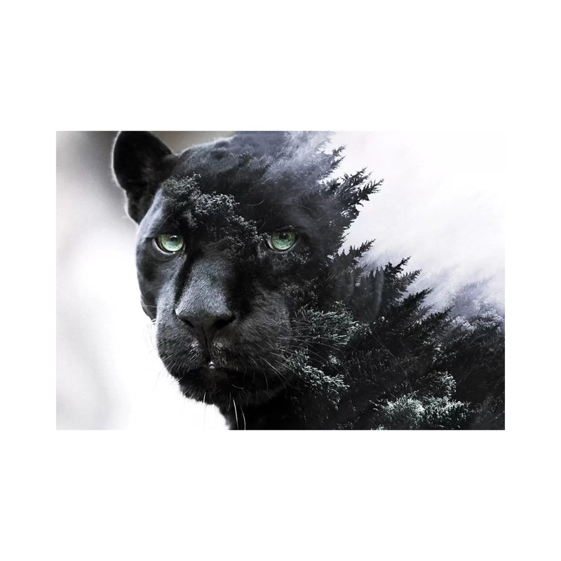 Black Panther by Paul Haag - Wrapped Canvas Print, 20.32cm H x 30.48cm W x 1.91cm D