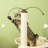 Leyden 90cm H Cat Tree