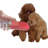 Pet Fountain-73724967
