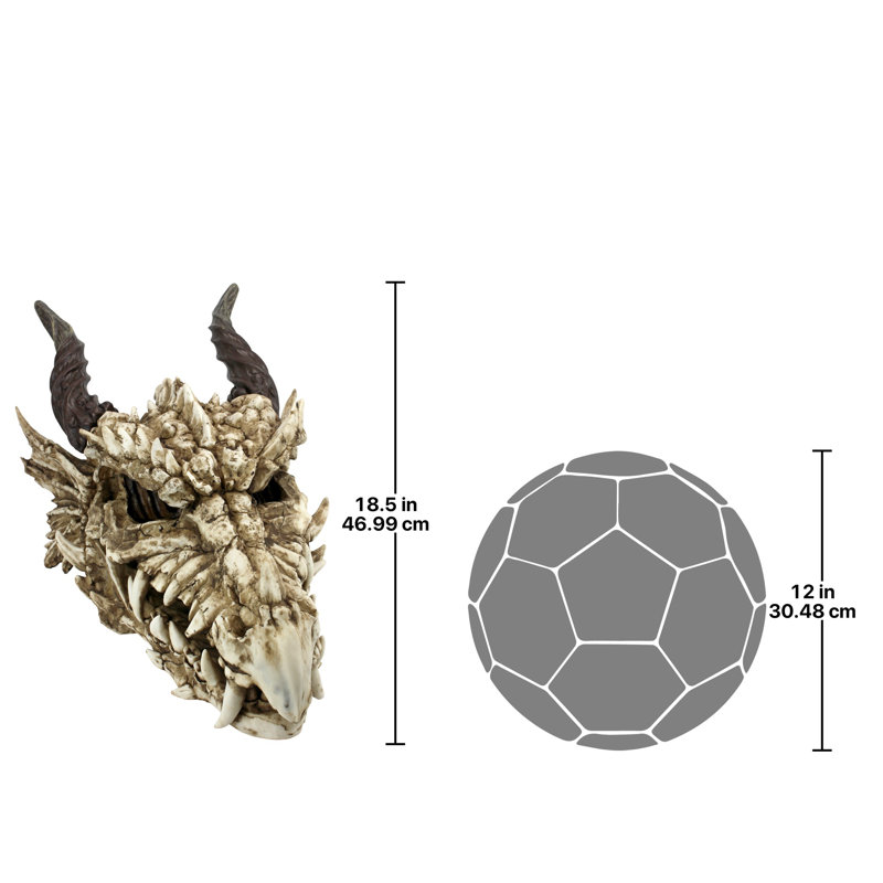 Stokers Moors Dragons Skull Statue