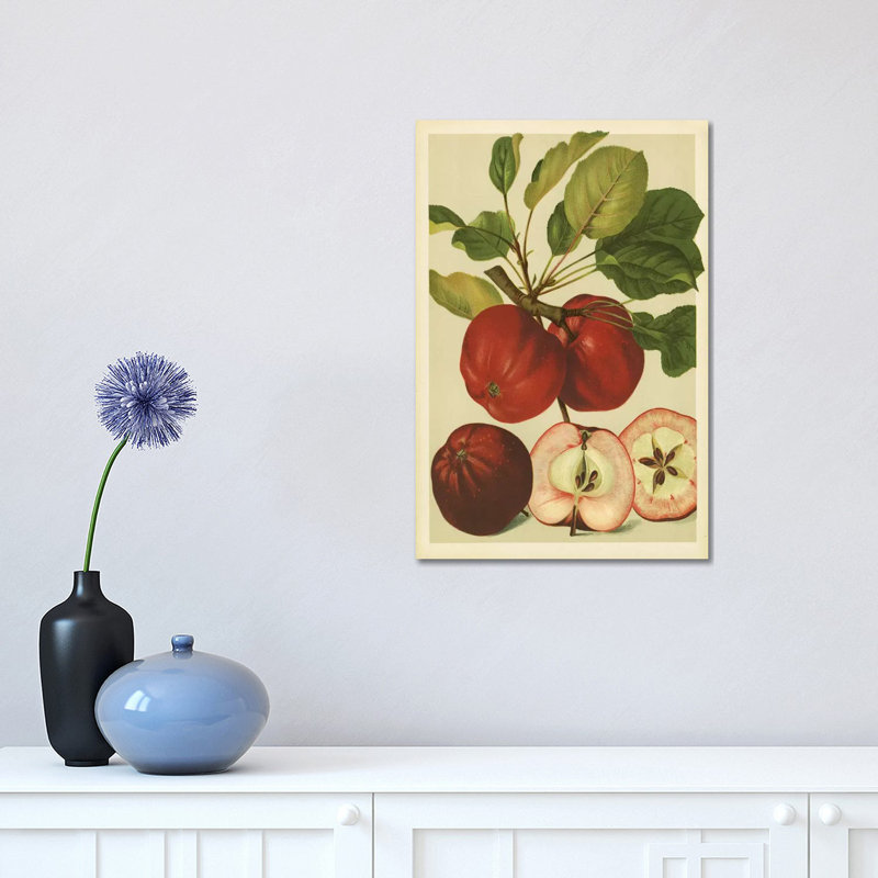 Red Veli Apples 1 Piece Wrapped Canvas Wall Art, 30.48 cm H x 45.72 cm W