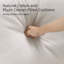 Modern Accent Wrenshall, Comfy Wrenshall With Removable Cushion