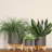 Ceramic Planter with Bamboo Stand - Modern Plant Pot with Elevated Base for Indoor Use-2046762069-2132121805-2046762068