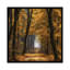 «Speuldimensions», impression sur toile-29039038-72791074-72791076