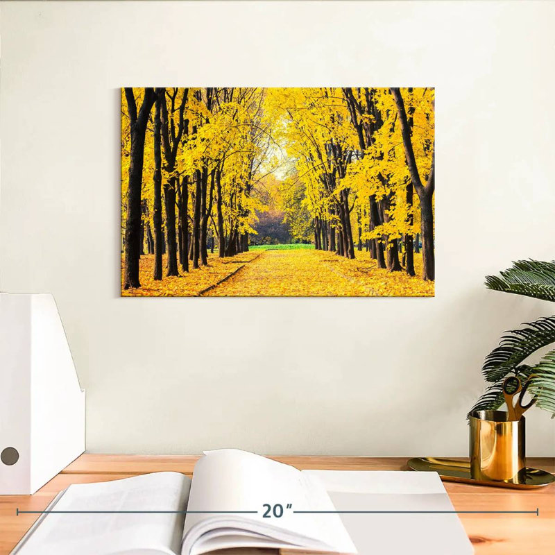 Feuillage du parc d'automne Sireci, H 8 po x l 12 po