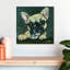 Crowle Frenchie Pup-111898428