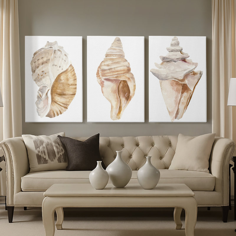 Seashell I  -Custom Wrapped Gallery Canvas - 3 Pieces, 36" H x 72" W