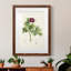 «Pretty Botanicals III», cadre photo-1776683586-1776683587