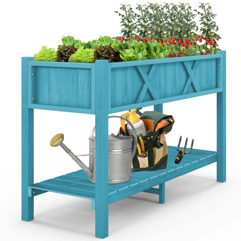 Keoni Planter, Blue
