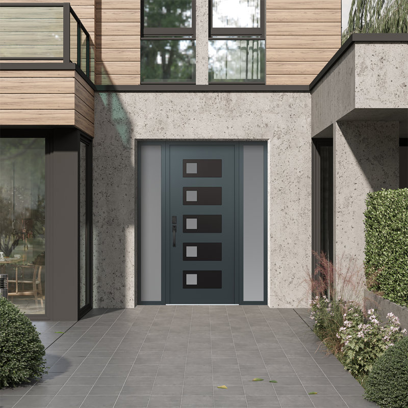D2 60 po. X 80 po Panneau d'entrée en acier noir anthracite et verre givré anthracite avec 2 portes avant en verre givré