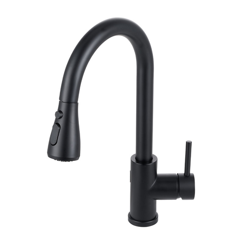 Belfry Kitchen Pull Out Touchless Kitchen Faucet, Black