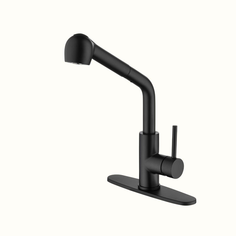 Robinets de cuisine, Noir mat