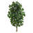 Ficus Artificial Tree