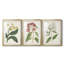 Antique Botanical Collection X - reproduction sur mesure encadrée de qualité supérieure - 3 pièces-1497497494-1497497578