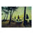 Ambesonne Beach Cutting Board Large Size Coconut Exotic Palm Trees Multicolor