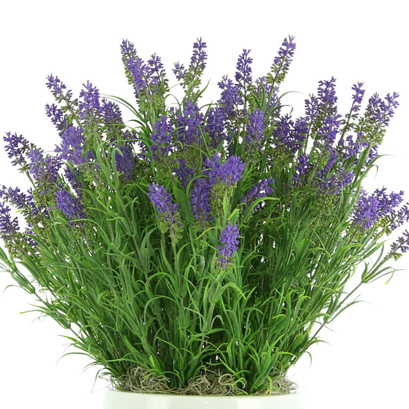 Outdoor UV-Rated Lavender in Fiberstone Pot