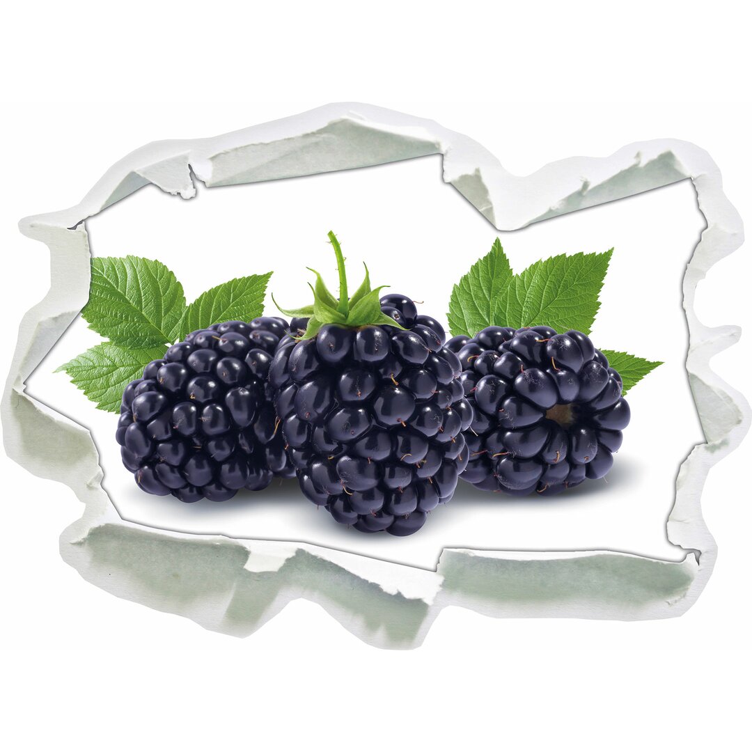 Leckere Brombeeren Wandaufkleber