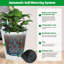 Planter-535990838